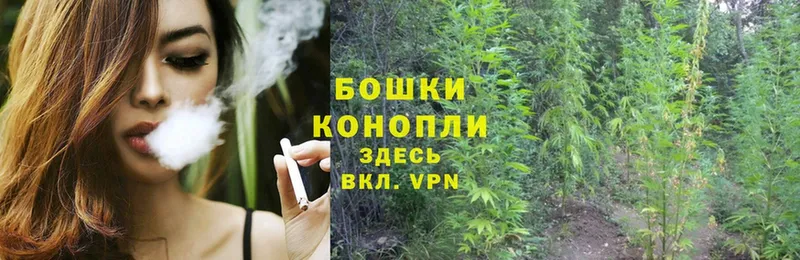 Конопля Ganja  мега как зайти  Липки  где купить  